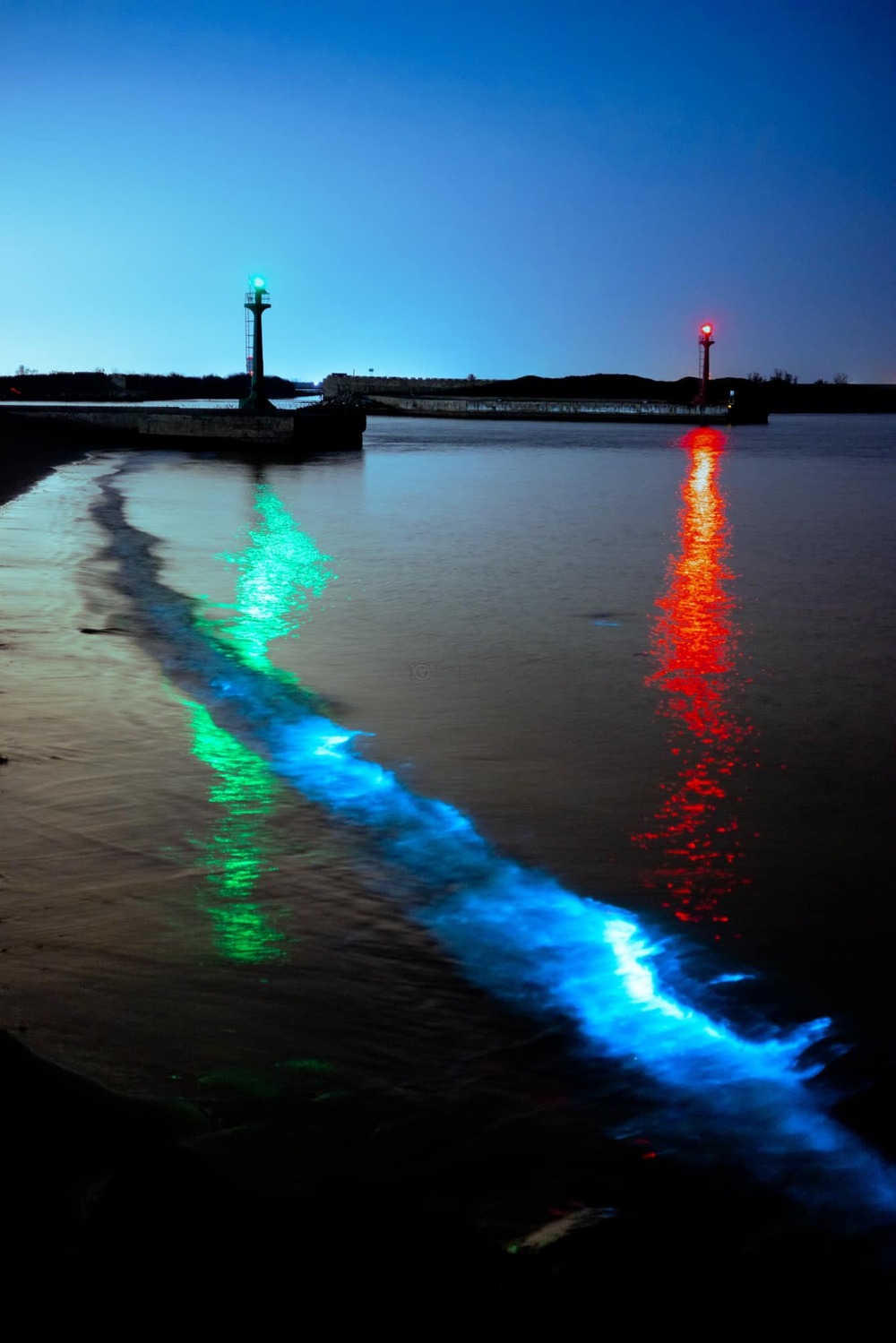 想看「藍眼淚」不用跑去離島！台南也有　黃偉哲曝「追淚」秘境美照