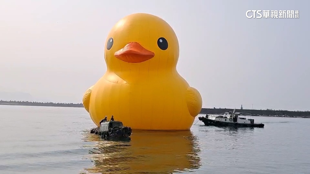 睽違10年！「再見黃色小鴨」　基隆港驚喜現身