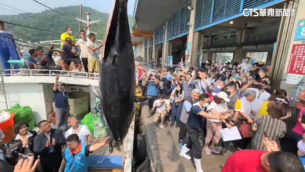 宜蘭第一鮪拍賣！5年來最重　成交價最高224萬