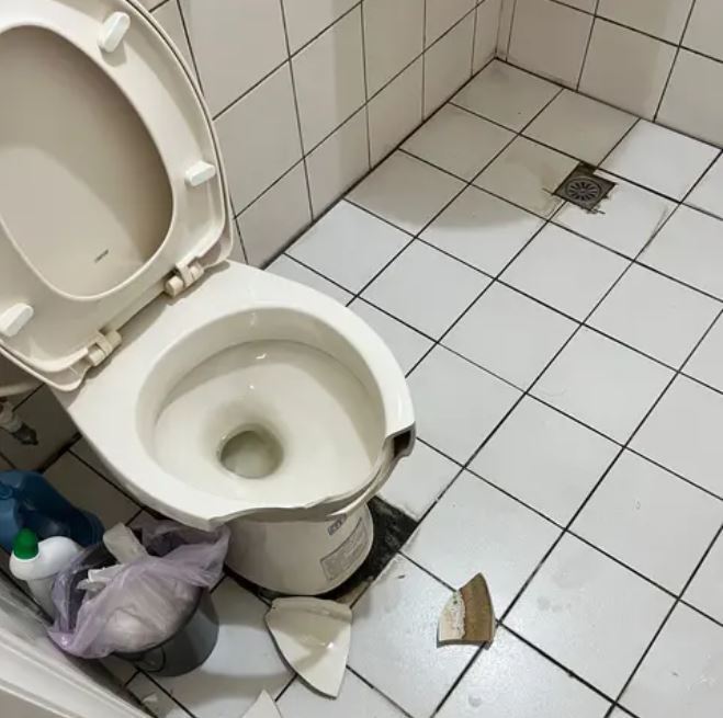 手機意外「砸碎馬桶」慘噴6900 網笑翻：是拿3310嗎？