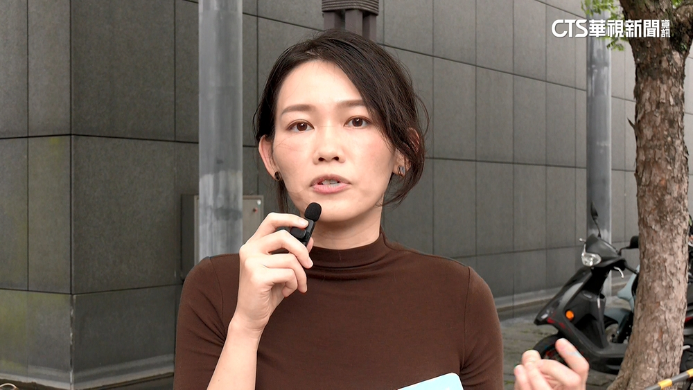 稱「台灣社會已分裂」　吳欣岱批龍應台「有毒思想」