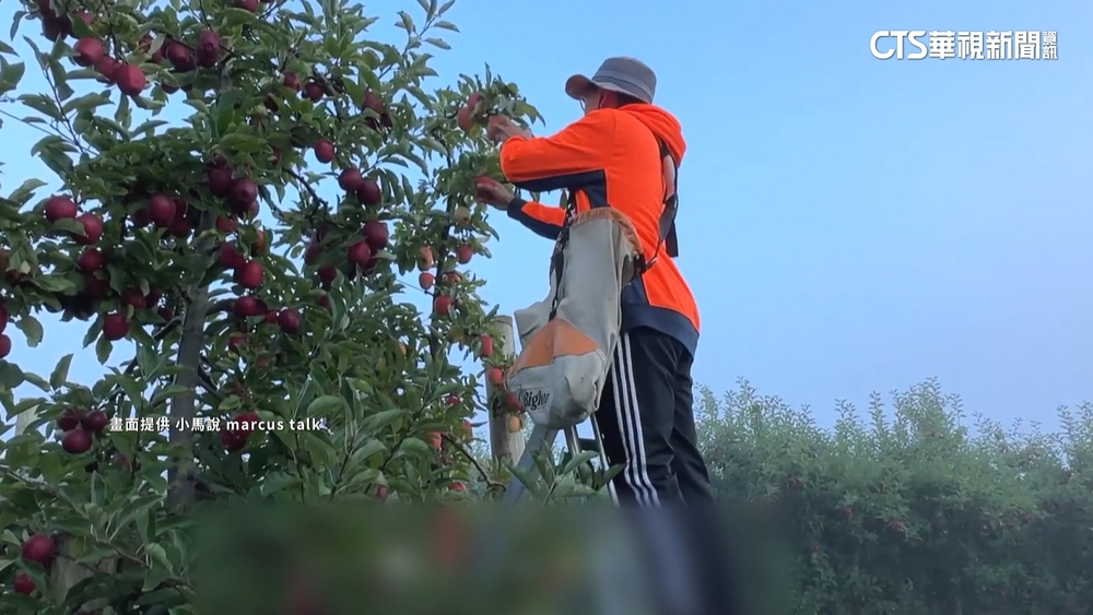 曾居全球第5！　疫前赴澳打工每年最高2萬2千人