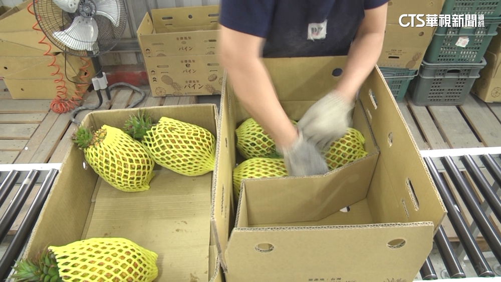 台南鳳梨封櫃儀式！成功銷日本業績佳