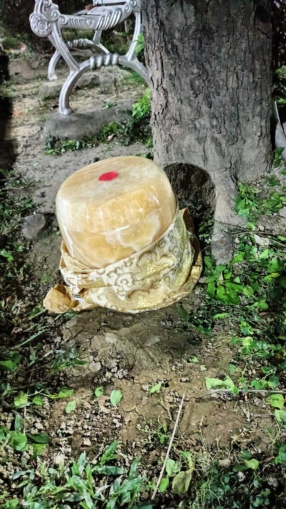 三重樹下驚見丟棄骨灰罈！網嚇壞：當做樹葬膩？