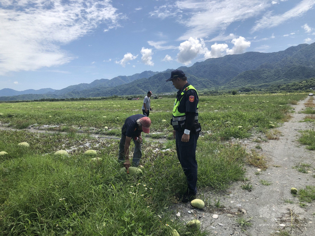 圖／翻攝自中華民國僑務委員會官網