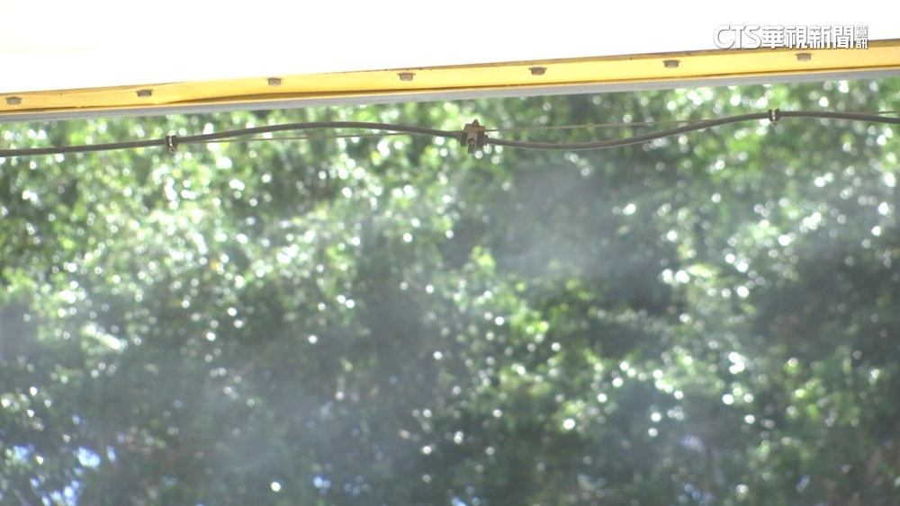 全台「烤番薯」！高溫飆38°C　防曬法寶全出籠