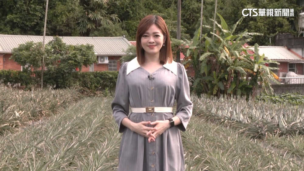 週休假期好「趣」處　走訪宜蘭鳳梨觀光果園