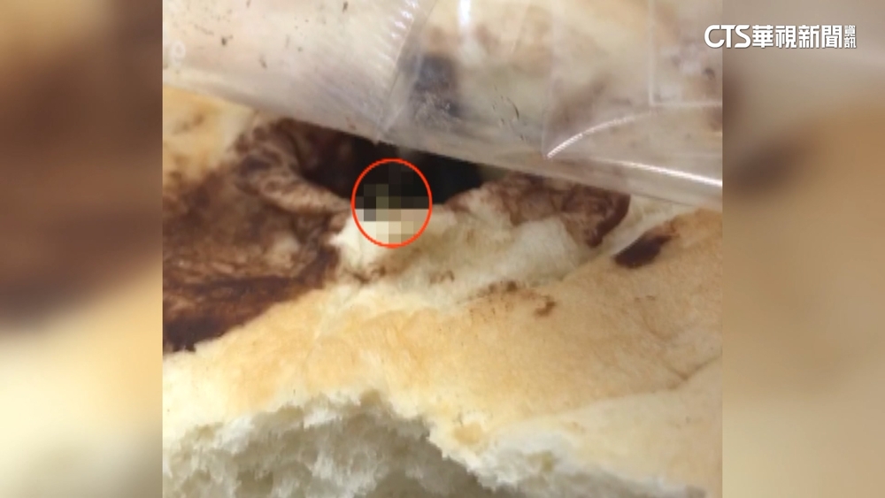 噁！基隆一高中營養午餐出包　驚見「綠毛蟲」蠕動