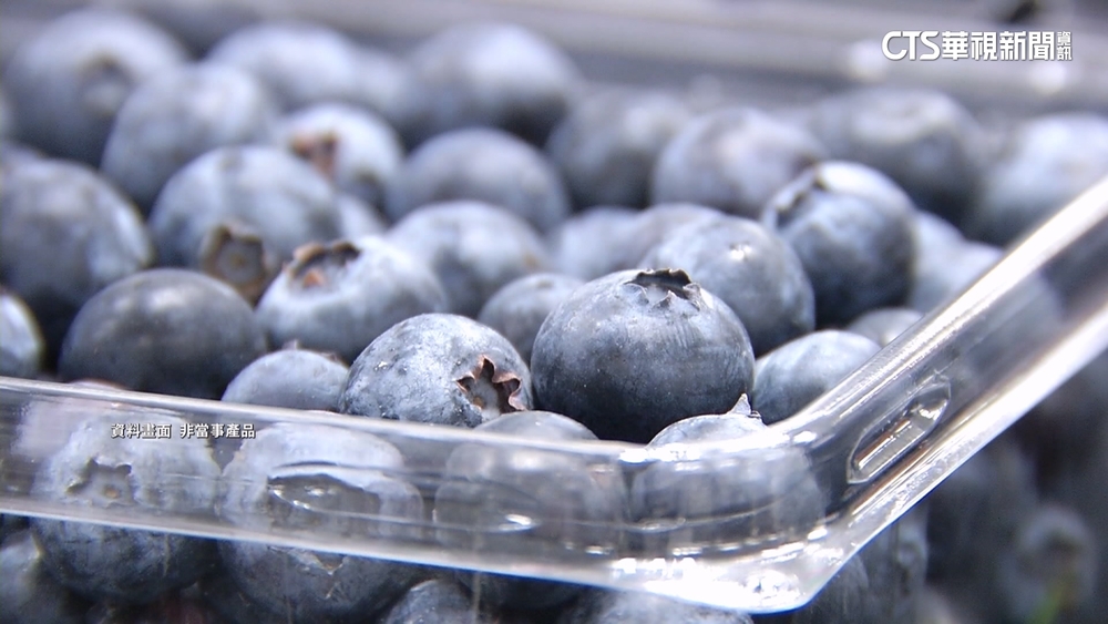 好市多稱沒人吃莓果染A肝　蘇一峰：新北已驗出