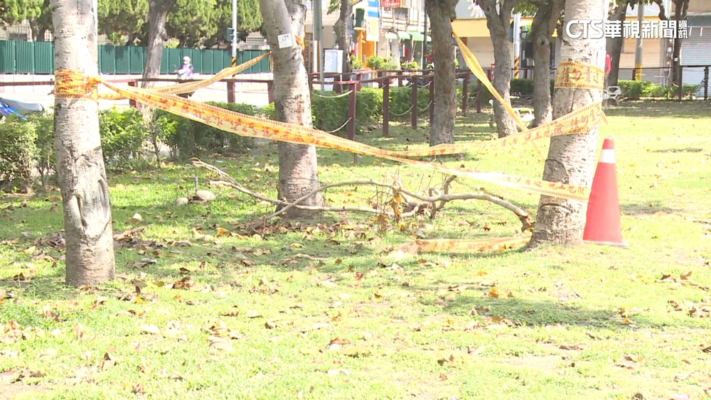 被勸別亂丟垃圾？認錯人？　男爆打公園清潔員