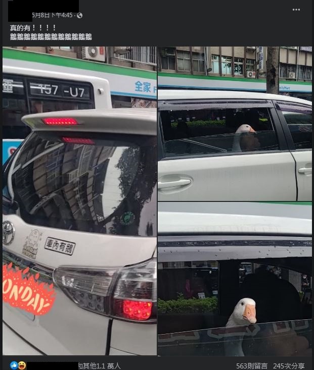 圖片翻攝自 臉書社團「路上觀察學院」