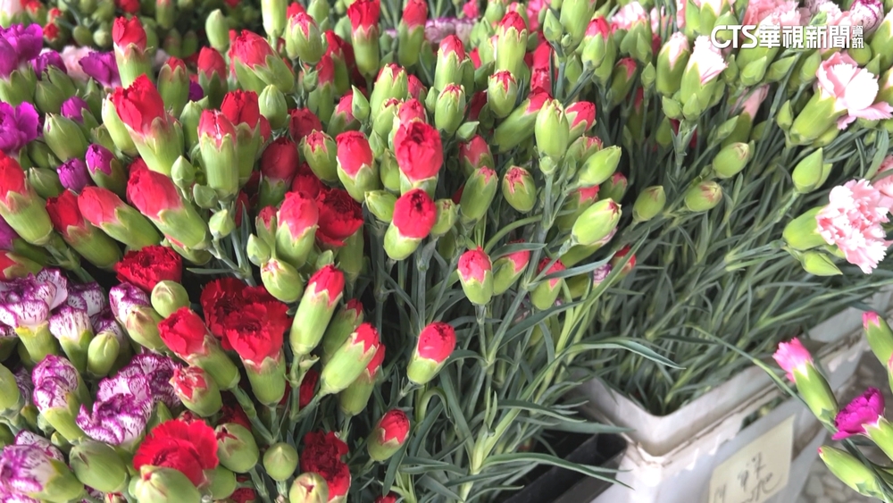 迎接母親節！　國產康乃馨產量減　價格翻倍漲