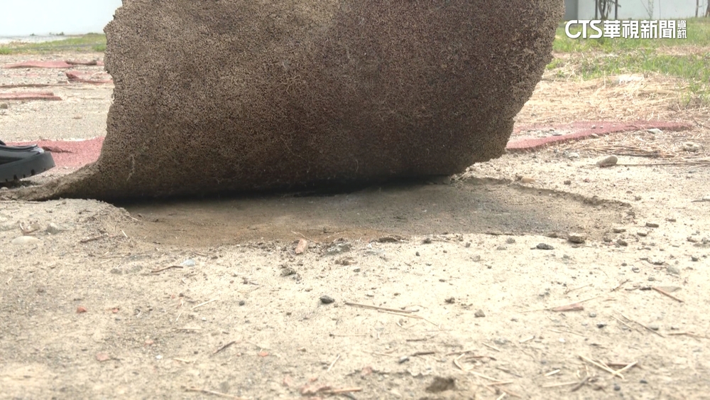 高雄五甲國小操場像廢墟　學生運動跌倒受傷