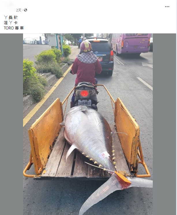 圖/翻攝自「路上觀察學院」臉書社團