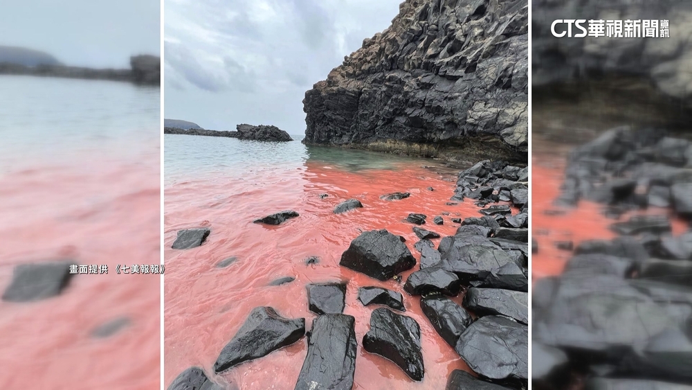 澎湖珊瑚產卵大爆發　七美海域變浪漫「粉紅海」
