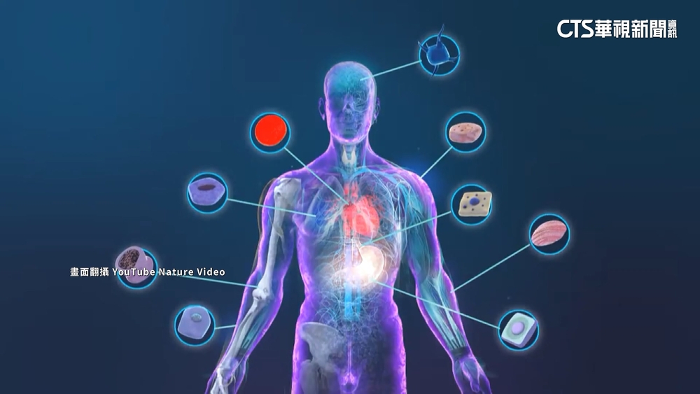 「再生醫療法」爭議中拚三讀　近千名專家連署質疑