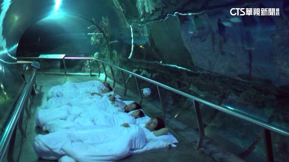 海生館夜宿「展缸全熄燈」　遊客怒轟廣告不實