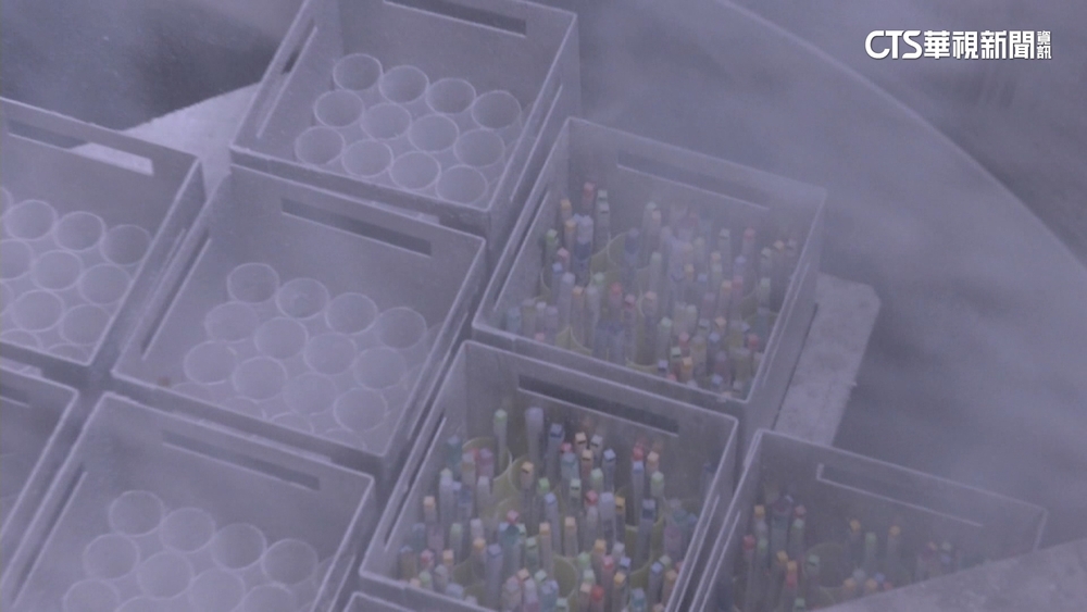 台女35.6歲才想生　醫：20-30歲10年間卵子數減6成