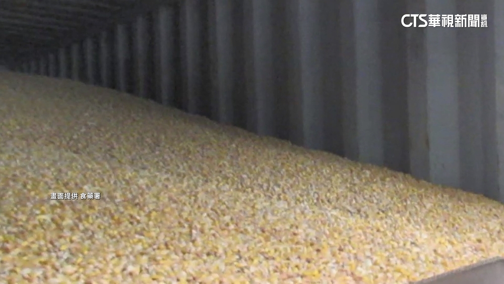 吃了會狂吐傷肝　台灣首例！美國玉米「嘔吐毒素」超標