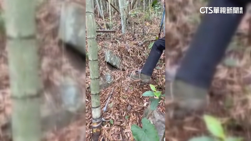 誤踩「山豬吊」險斷腳　穿厚底登山鞋逃過一劫