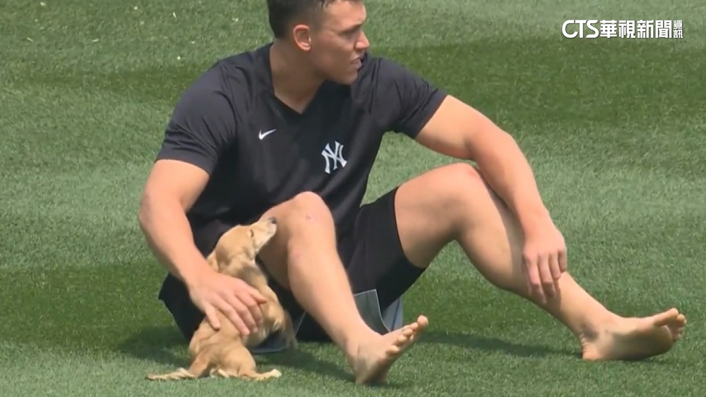 法官大人球場「遛狗趣」！　愛犬Gus跑透透