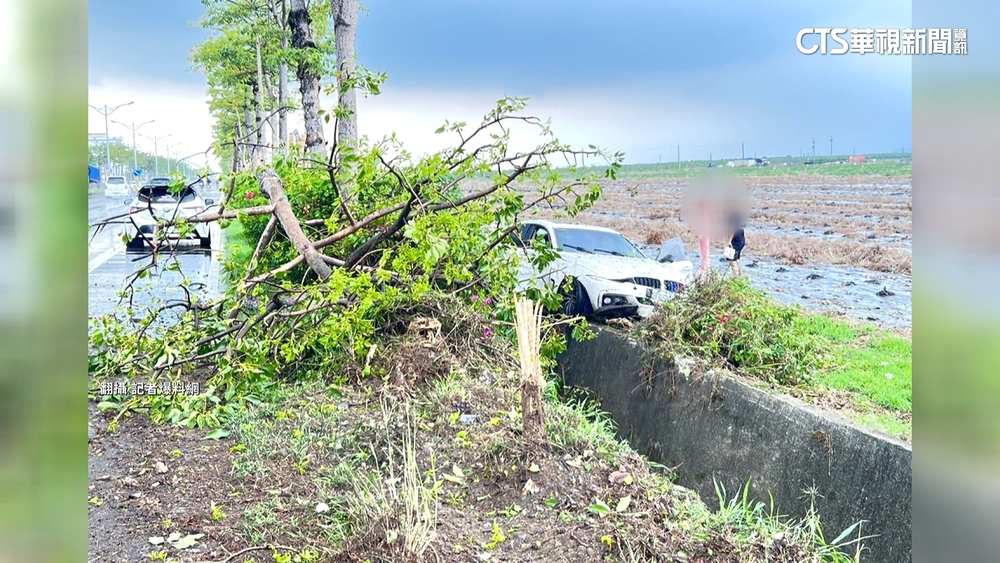 疑天雨路滑　情侶檔開車失控撞斷路樹