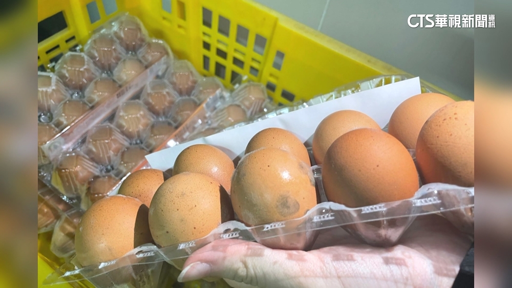 泰進口雞蛋發霉還製成蛋液！　桃市府開罰15萬