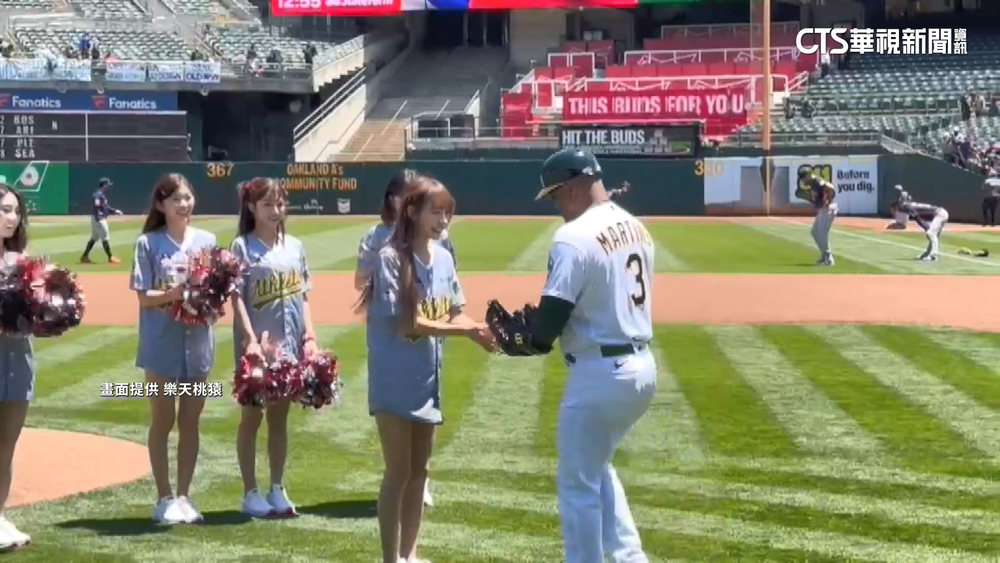 運動家「台灣日」　樂天女孩林襄擔任開球嘉賓