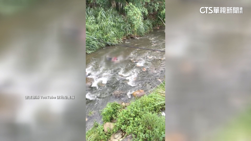 天雨路滑？　新北騎士自撞護欄　跌排水溝送醫不治