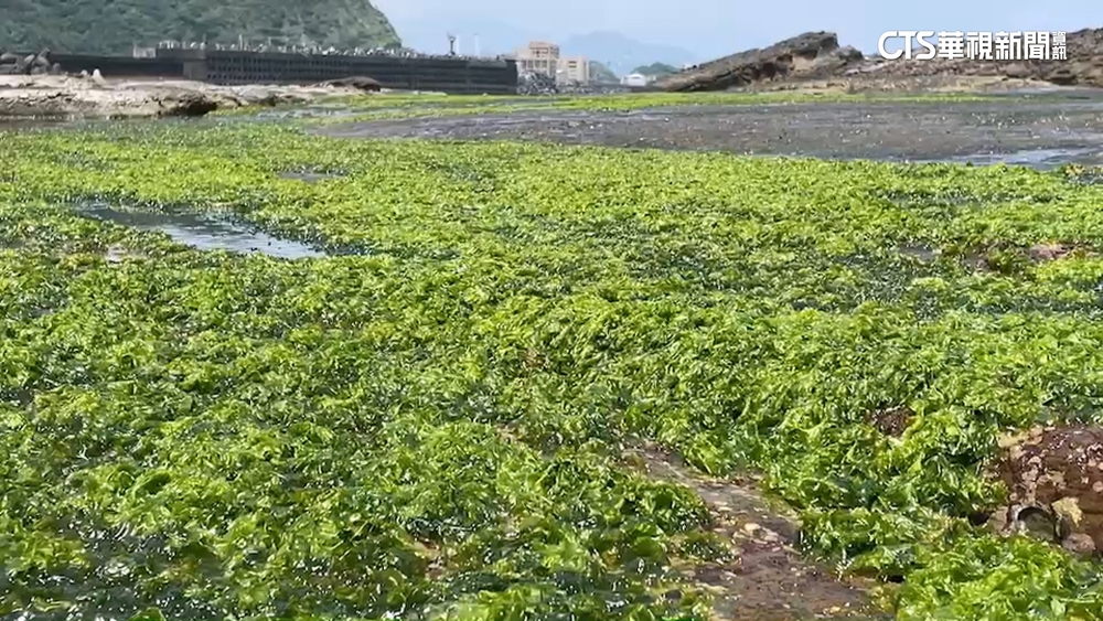 疑採海菜貢寮落水　消防.海巡陸空尋獲遺體