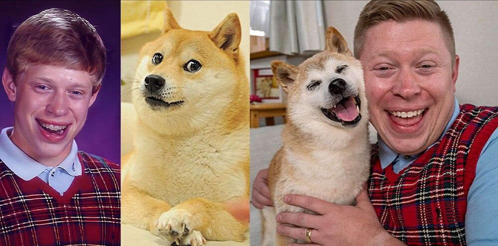 「超衰布萊恩」飛日本找「Doge」 網嗨翻：迷因界夢幻聯動！　