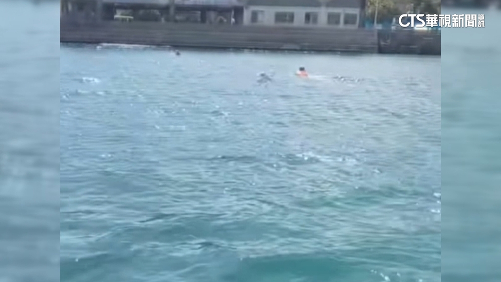 不要命！　小琉球遊客游進漁港航道　最高開罰15萬