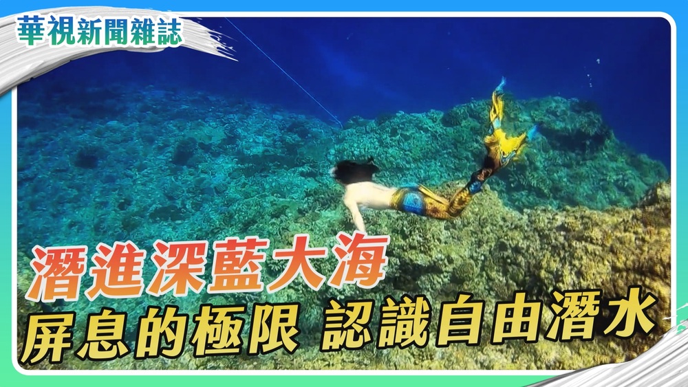 屏息的極限 認識自由潛水｜潛進深藍大海｜華視新聞雜誌