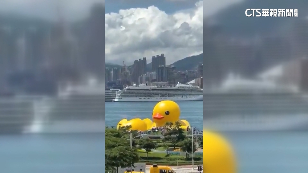 天氣太熱！　香港黃色小鴨洩氣防爆　一對變一隻