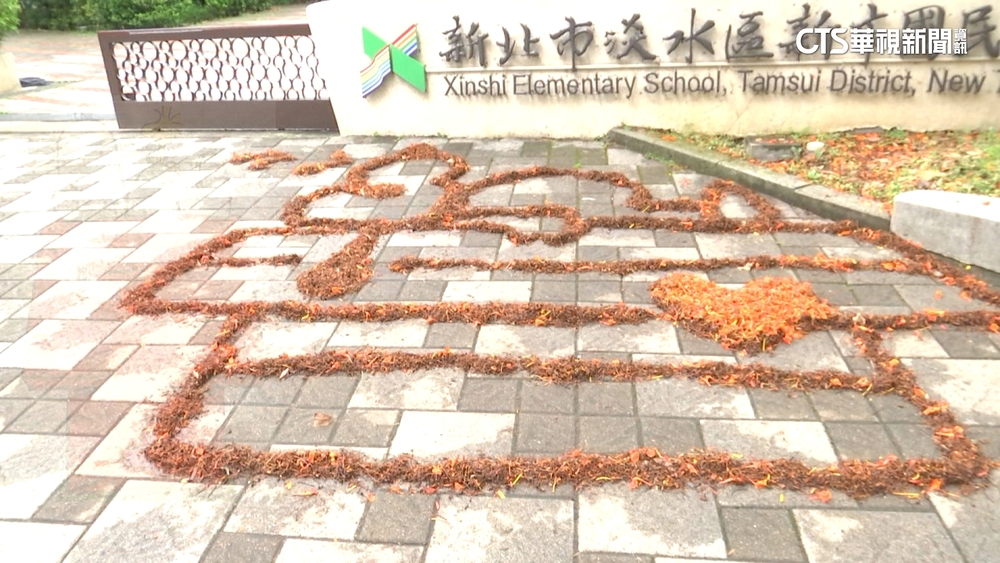 掃把當畫筆！　國小警衛「鳳凰花排畫」超搶眼