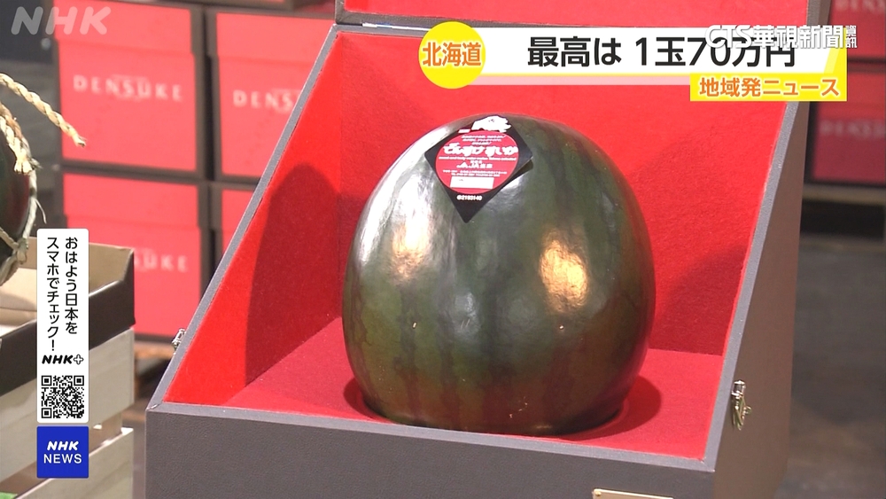 日深色西瓜競標　　一顆最貴要價台幣15萬