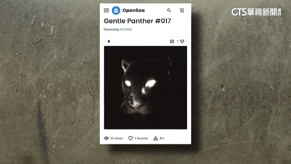 創「豹頭NFT」關閉引民怨　蔣友柏：藝術行為變商業
