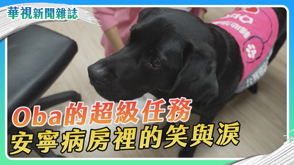 安寧病房裡的笑與淚｜Oba的超級任務｜華視新聞雜誌