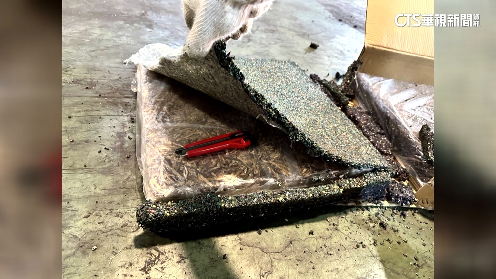 端午包粽需求大　海關查獲3噸「中國香菇絲」