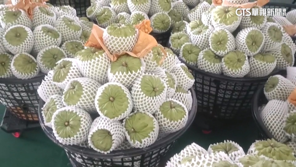 台東釋迦銷中解禁　「時機巧合」綠委質疑有政治意圖