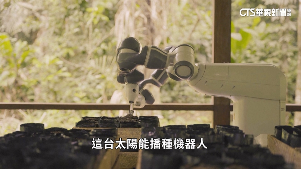 搶救亞馬遜雨林！　太陽能機器人幫播種復育