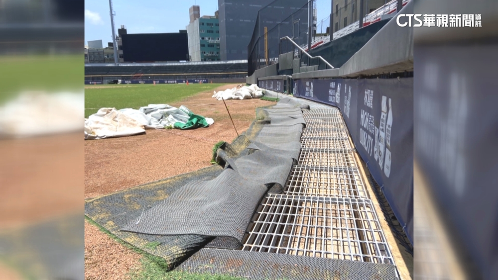 新竹棒球場發霉長雜草　市府：照WBC模式改善