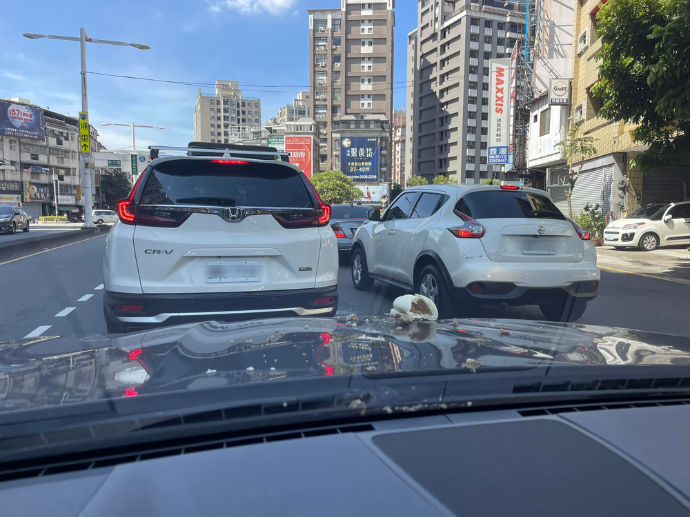 等紅燈突聽巨響　下一秒驚見肉包「降肉」！　網見照笑瘋