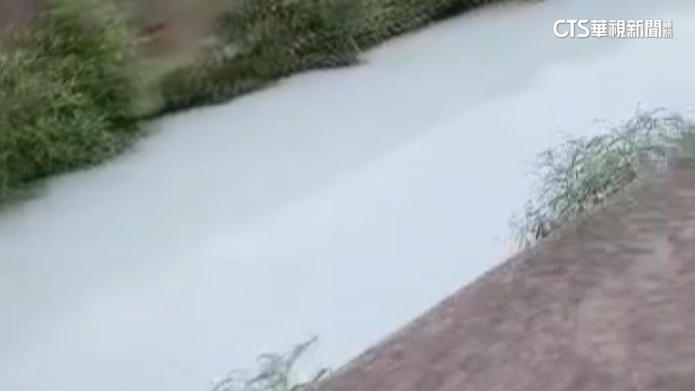 大排驚見「牛奶河」　環保局疑豪宅建案倒廢水