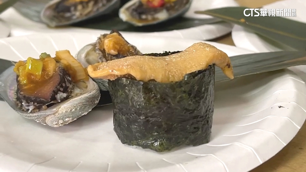 澎湖海膽殺戮不復見？　量少一早就被掃空