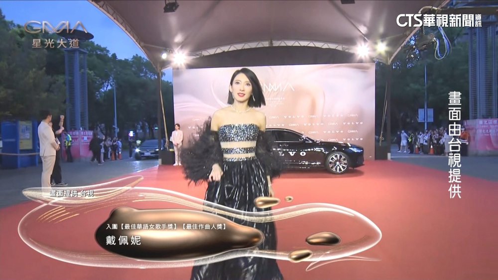 金曲獎星光大道「爭帥比美」　粉絲爭睹偶像丰采