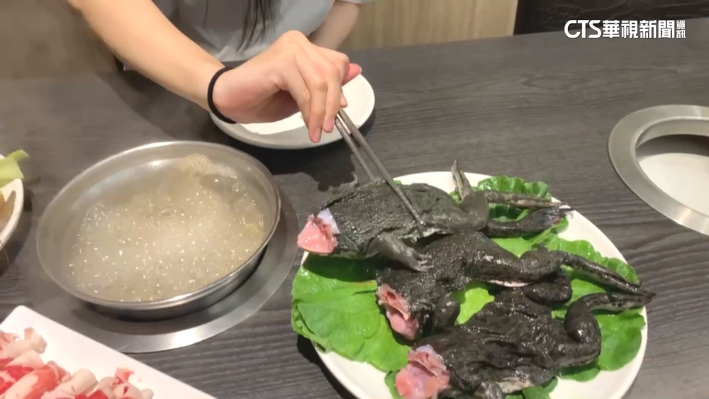 超震撼！　店家推「青蛙火鍋」　整隻連皮涮下鍋