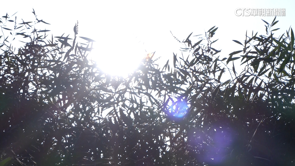 各地高溫慎防熱傷害　氣象局：周末會更熱！