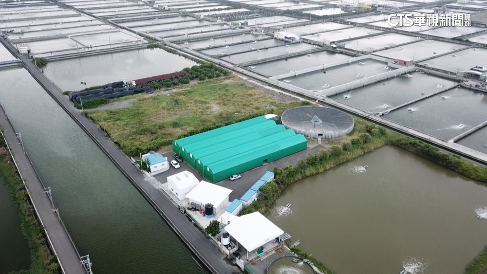 傳統養殖漁業拚永續　生態循環池省水80%