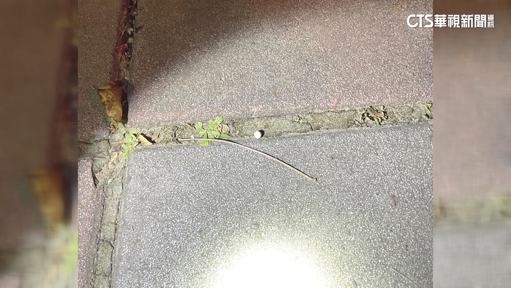 向路人借200元遭拒絕　蘆洲男持BB槍攻擊